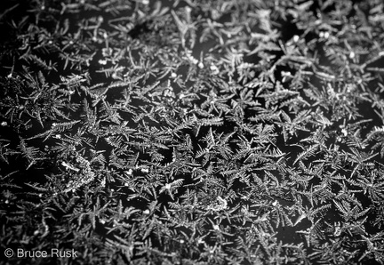 Window frost #1