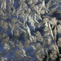 Window frost #2